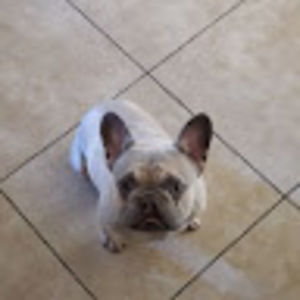 Meet your Posher, Dan